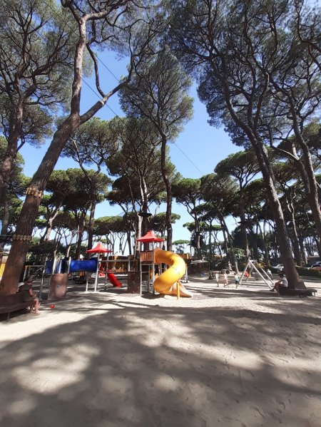 Parco giochi sotto alti alberi verdi.