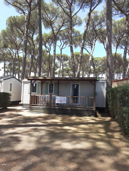 Casa mobile con patio, circondata da pini.