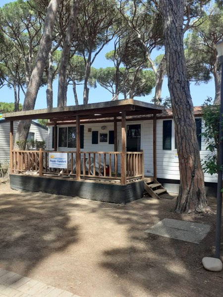 Casa mobile con veranda in legno sotto i pini.