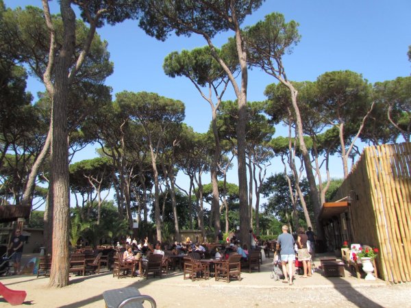 Area all'aperto con tavoli sotto pini alti.