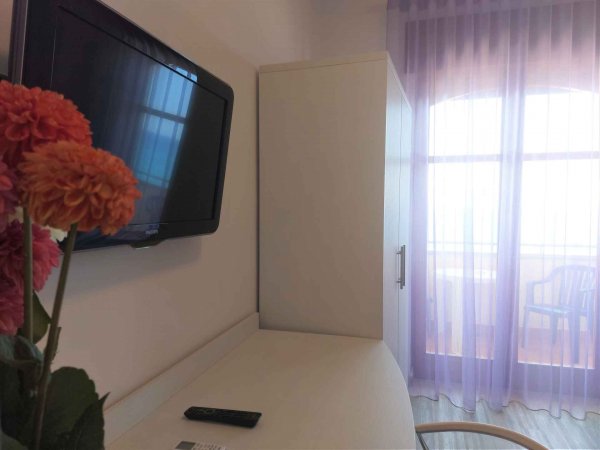 Interno di camera con TV e fiori.