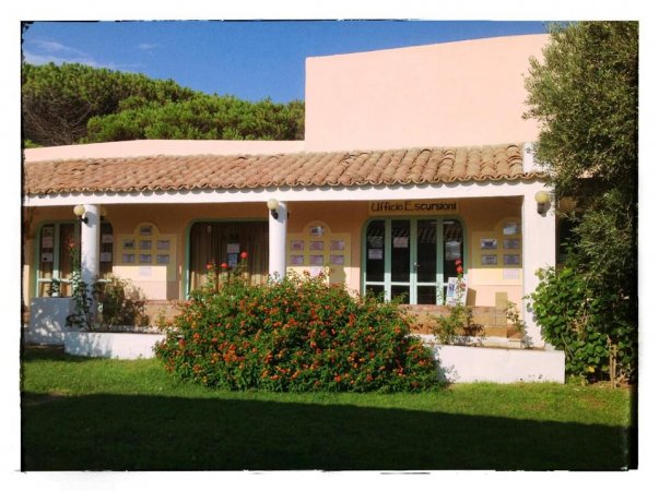 Edificio con tetto in tegole, vetrate e piante di fronte.