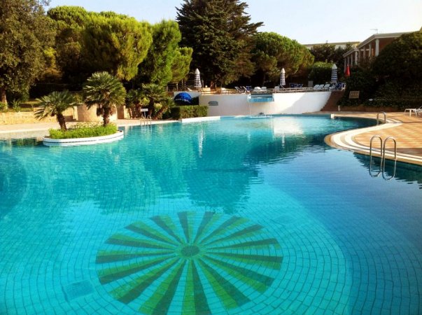 Piscina con disegni sul fondo e circondata da alberi.