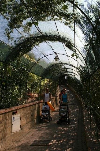 Passaggio coperto con vegetazione, persone con passeggini.