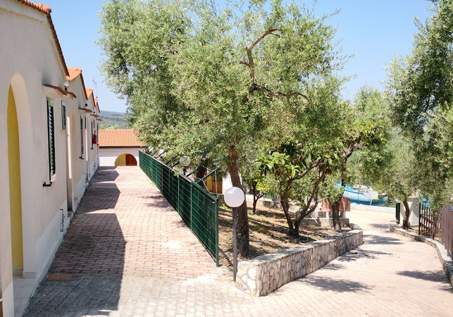 Stradina tra edifici e alberi, soleggiata.