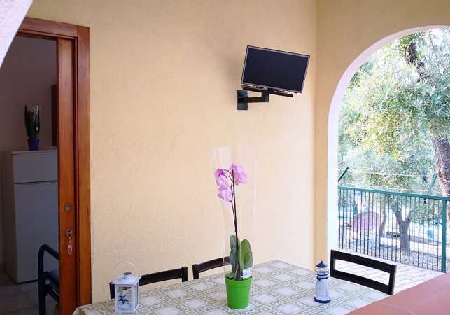 Tavolo sotto un portico con una pianta e un piccolo schermo.
