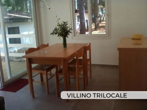 Sala da pranzo con tavolo e sedie in legno, finestre luminose.