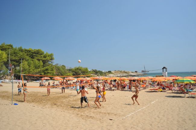 Persone giocano a beach volley su una spiaggia soleggiata.
