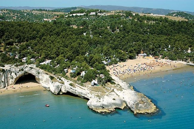 Spiaggia con pini e scogli sul mare.