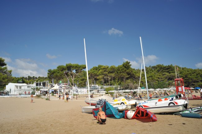 Spiaggia con barche e alberi verdi.