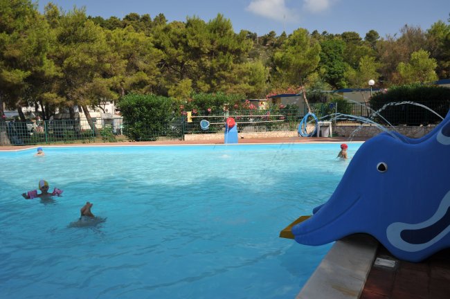 Piscina per bambini con scivolo a forma di delfino.