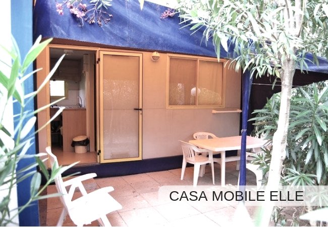 Veranda con tavolo e sedie tra piante.