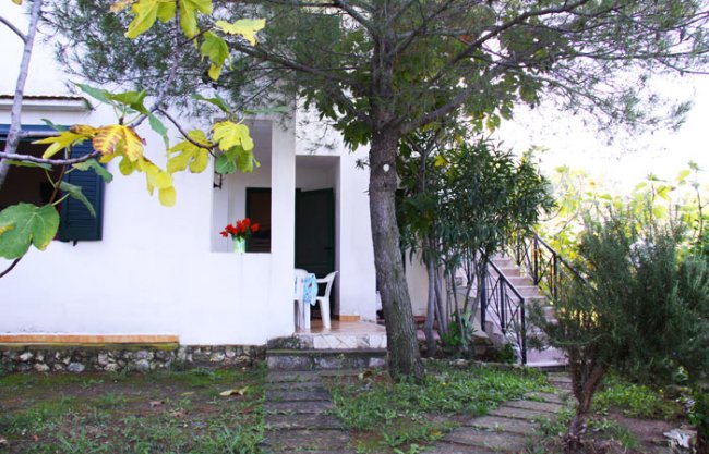 Ingresso esterno con piante e sentiero.