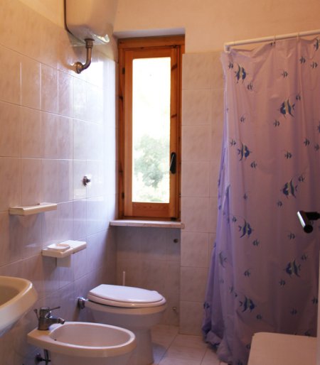 Bagno con doccia, bidet e finestra.