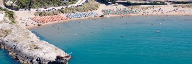 Spiaggia con ombrelloni colorati e mare calmo.