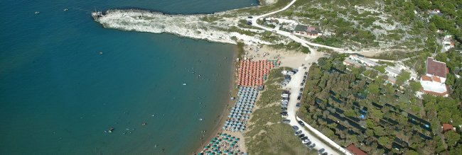 Vista aerea di una spiaggia con ombrelloni e mare.