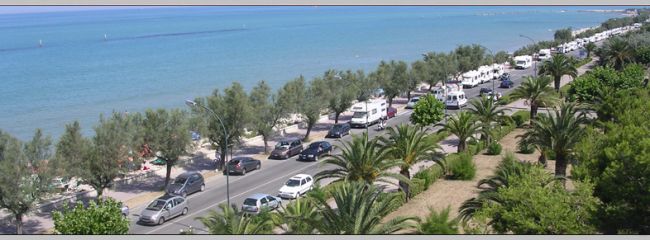 Strada costiera con palme, vista mare e traffico di auto e camper.
