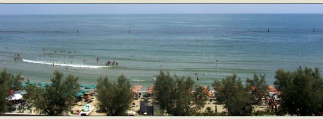 Mare calmo con persone sulla battigia e ombrelloni su una spiaggia alberata.
