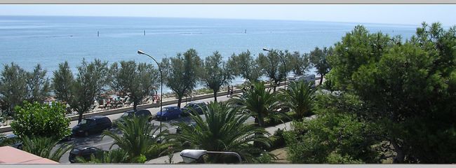 Vista del lungomare con palme, auto parcheggiate e mare sullo sfondo.