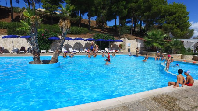 Piscina all'aperto con persone che nuotano, circondata da palme e lettini.