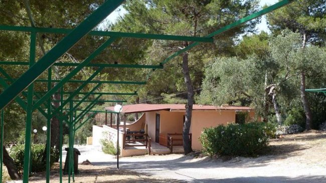 Un bungalow rosa con veranda immerso tra gli alberi, con strutture verdi in primo piano.