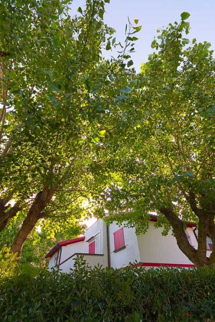Casa bianca tra alberi verdi.