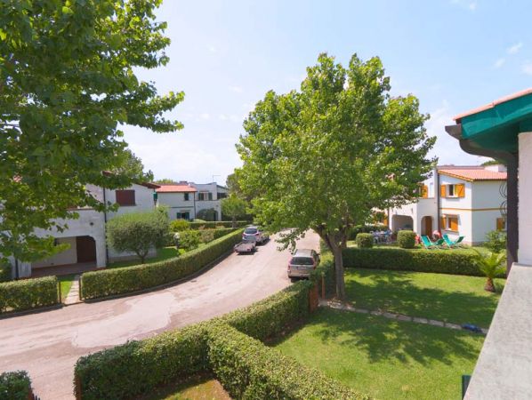 Strada residenziale con alberi e auto parcheggiate.