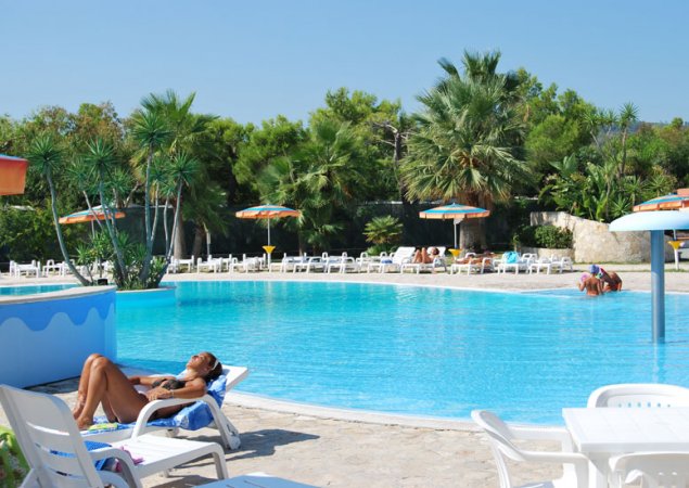 Piscina con lettini, ombrelloni e palme.