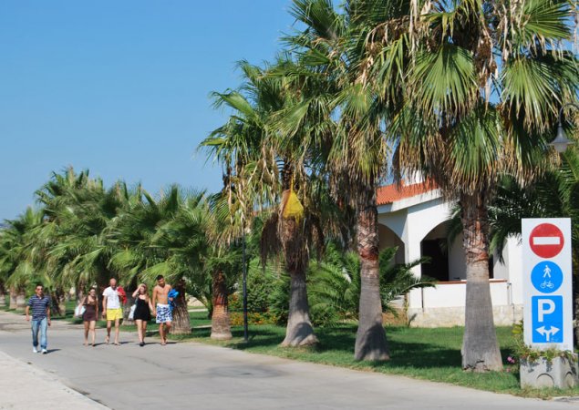 Persone che camminano vicino a palme e segnali stradali.