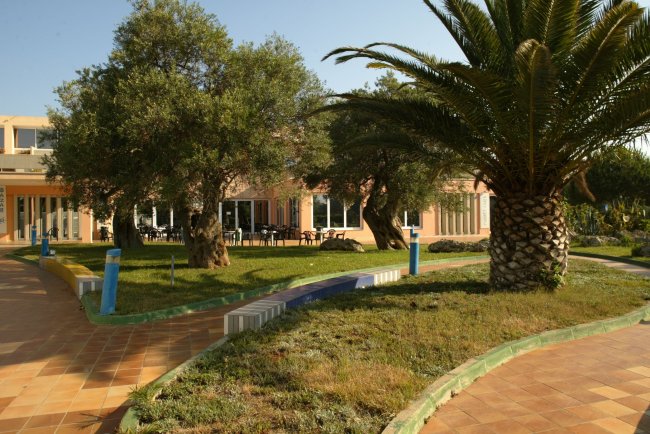 Giardino con alberi, palme e vialetto pavimentato.