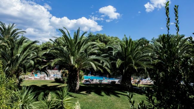 Piscina circondata da palme.
