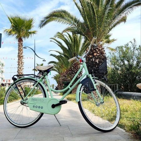 Bicicletta verde chiaro vicino a palme.