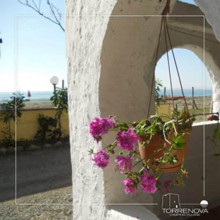 Fiori rosa in vaso appeso su arco.