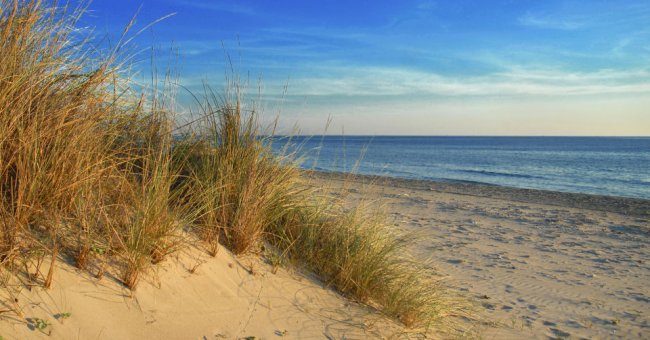 Dune di sabbia con erba marina e mare al tramonto.